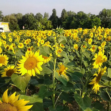Фермерский дом Al Cavaliere Порденоне