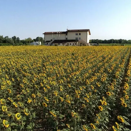 Farm stay Al Cavaliere *